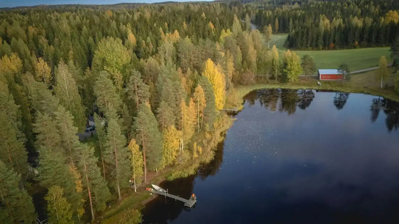 The Best Apps To Learn Finnish: WordDive Vs. Duolingo Vs. Mondly