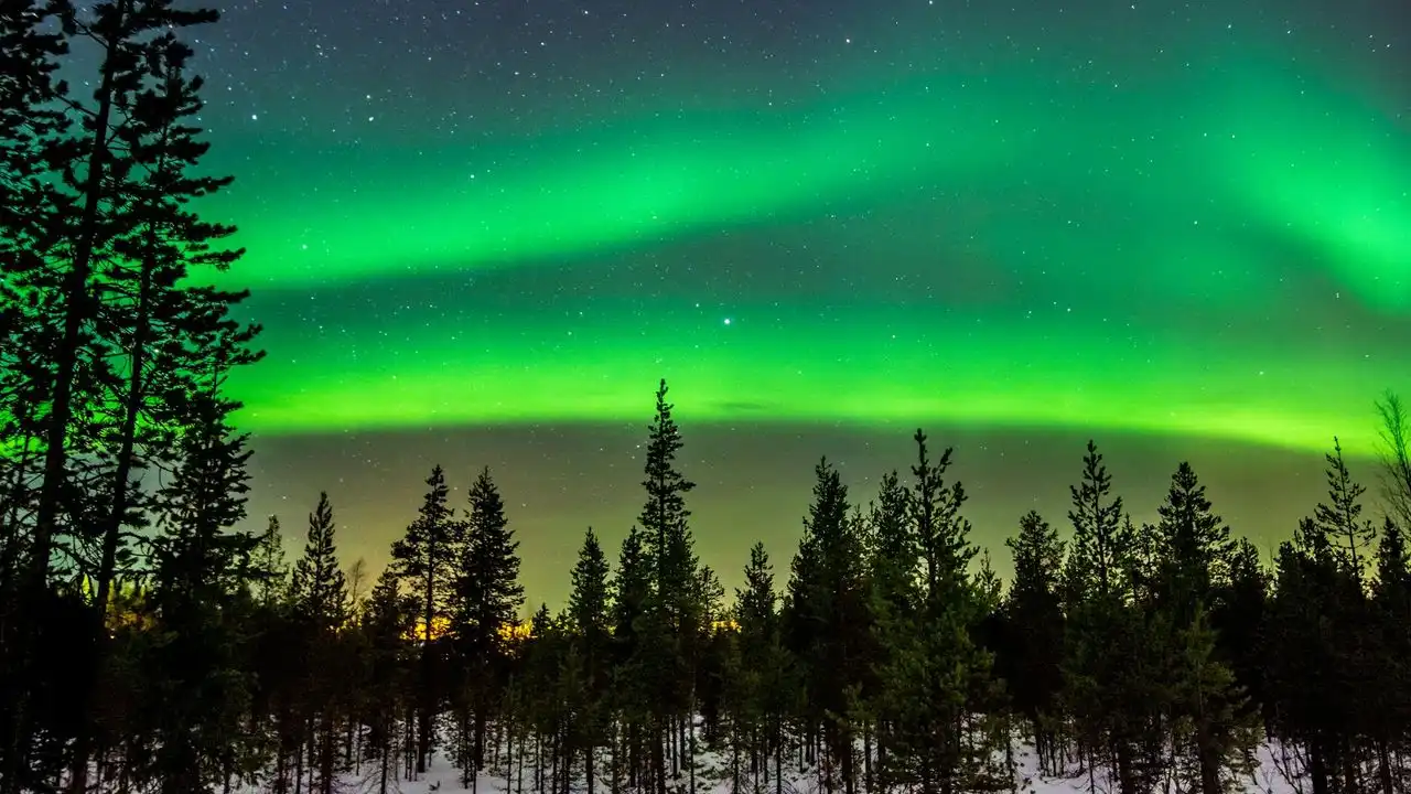 The Finnish Genitive Case: Rules, Endings, And Examples