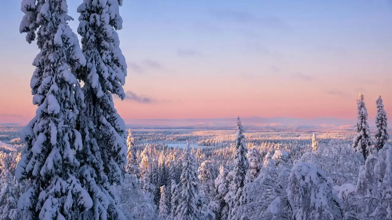 Finnish Local Cases Explained: Missä, Mistä, And Mihin