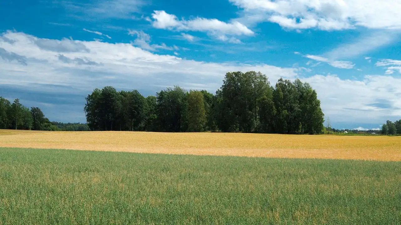 Here's How Long It Will Take You To Learn Finnish