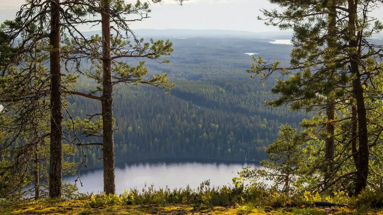 Passing The YKI Test: A Study Guide For The Finnish Language Certificate
