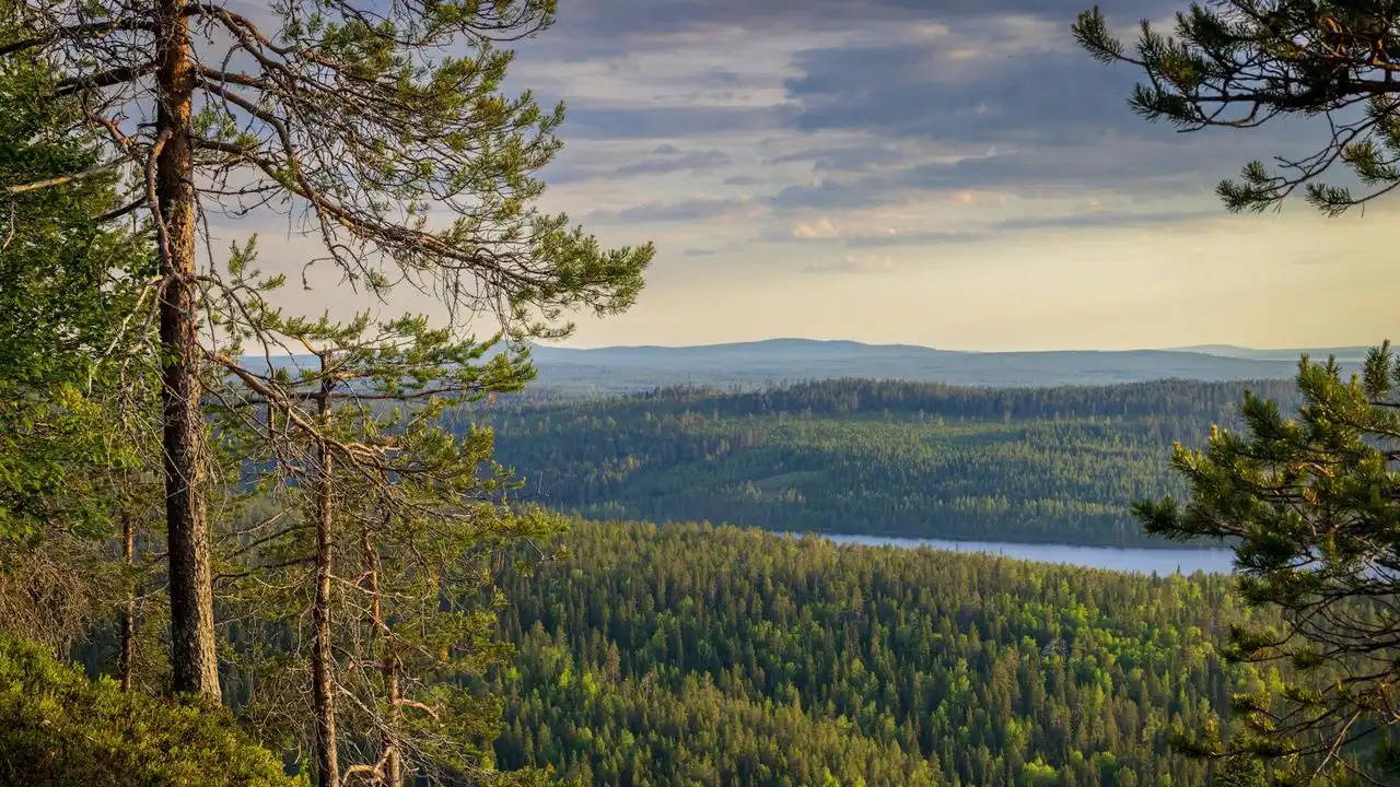 Top 5 Textbooks For Self-Studying Finnish